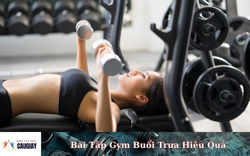 Bài Tập Gym Buổi Trưa Hiệu Quả