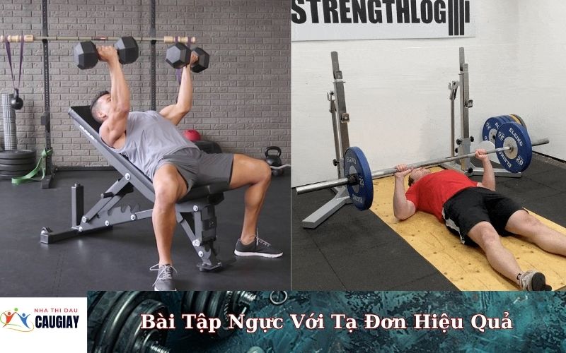 Bài Tập Ngực Với Tạ Đơn Hiệu Quả