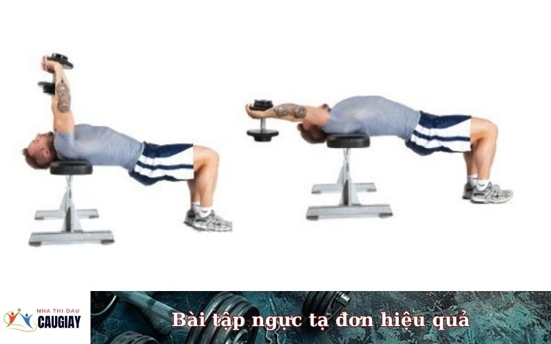 Bài tập ngực tạ đơn hiệu quả