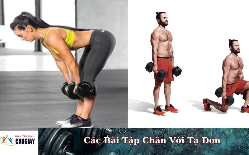 Các Bài Tập Chân Với Tạ Đơn