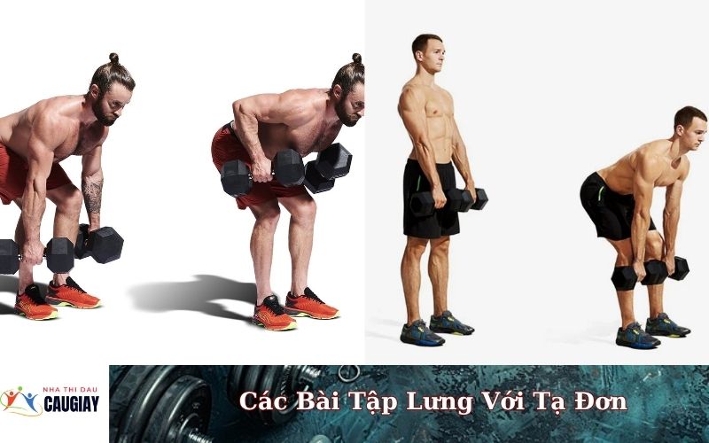 Các Bài Tập Lưng Với Tạ Đơn