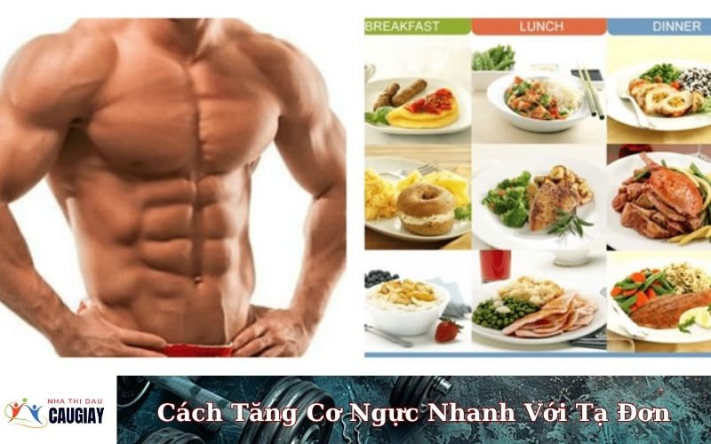 Cách Tăng Cơ Ngực Nhanh Với Tạ Đơn