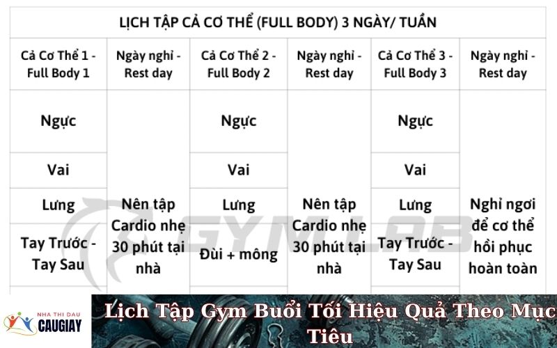 Lịch Tập Gym Buổi Tối Hiệu Quả Theo Mục Tiêu