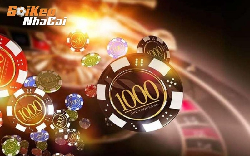 Cập nhật tỷ lệ thi đấu và thống kê thể thao mỗi ngày