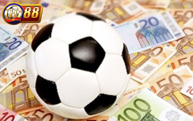 Hướng dẫn liên hệ đội ngũ hỗ trợ khách hàng trực tuyến nhanh chóng