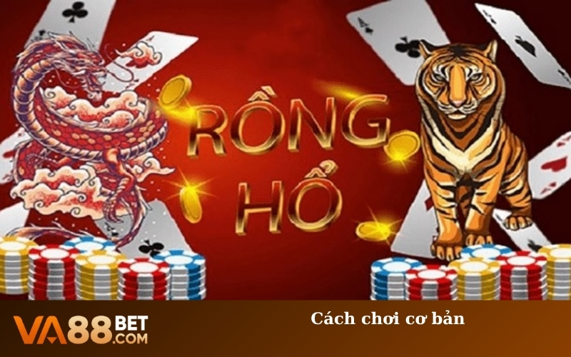 Cách chơi cơ bản