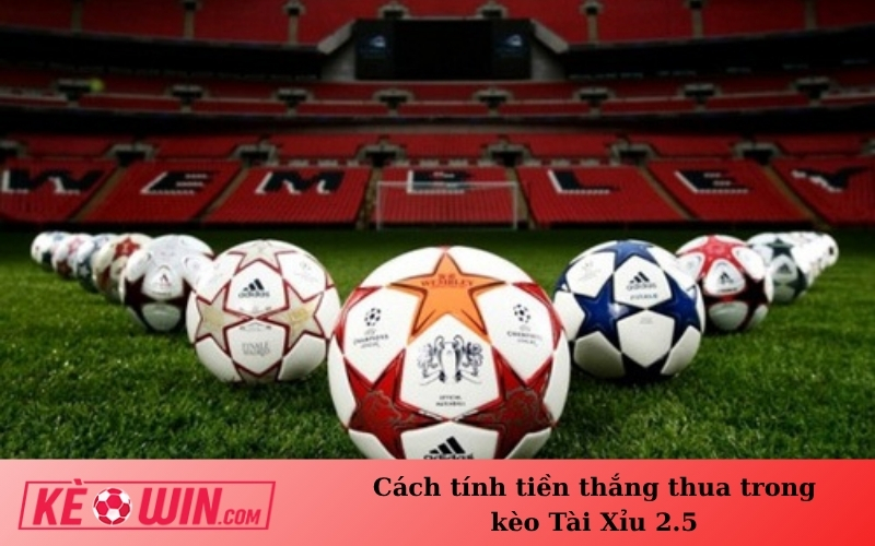 Cách tính tiền thắng thua trong kèo Tài Xỉu 2.5